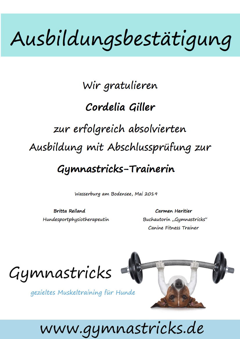 CordeliaGiller Gym Zertifikat
